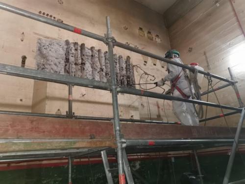 Central Hidroelectrica Coya (100)