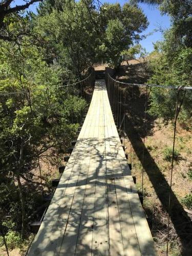 Puente Colgante (10)