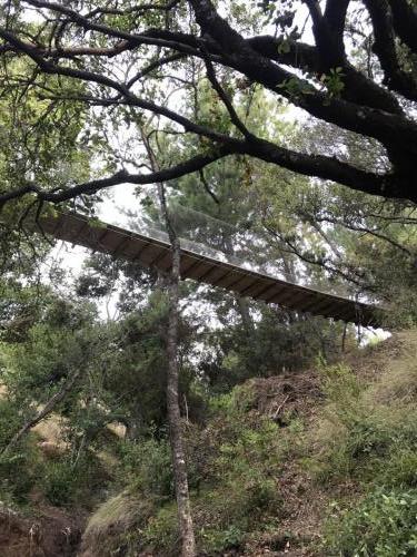 Puente Colgante (11)