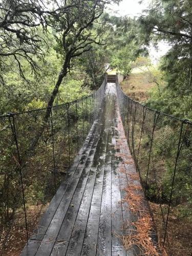 Puente Colgante (13)